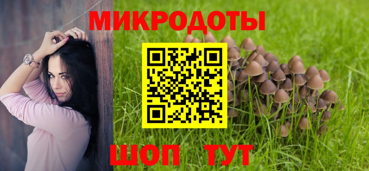 Галлюциногенные грибы прущие грибы Кропоткин