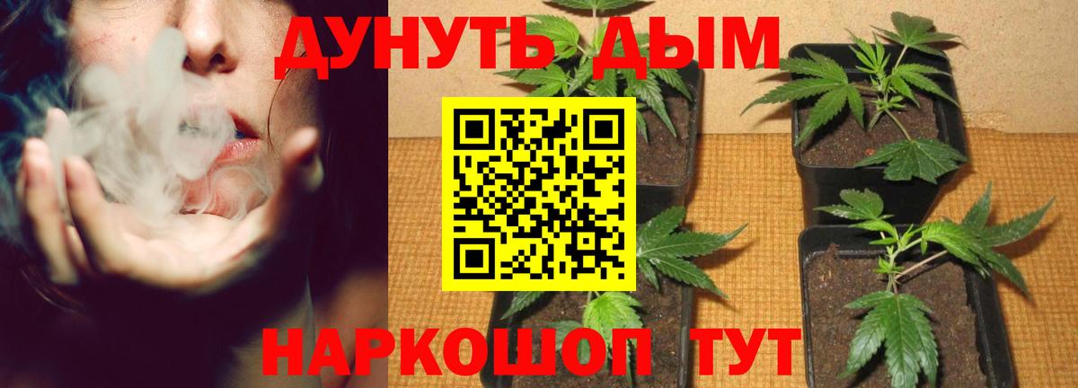 Бошки Шишки OG Kush Кропоткин